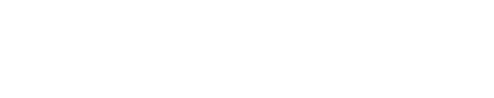 The Visionairs logo